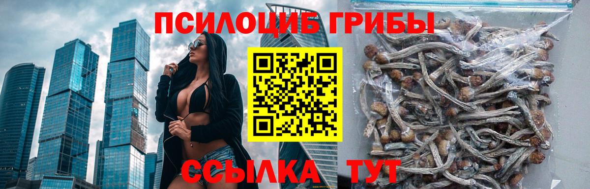 Великий Новгород  Псилоцибиновые грибы ЛСД  Вход с VPN 